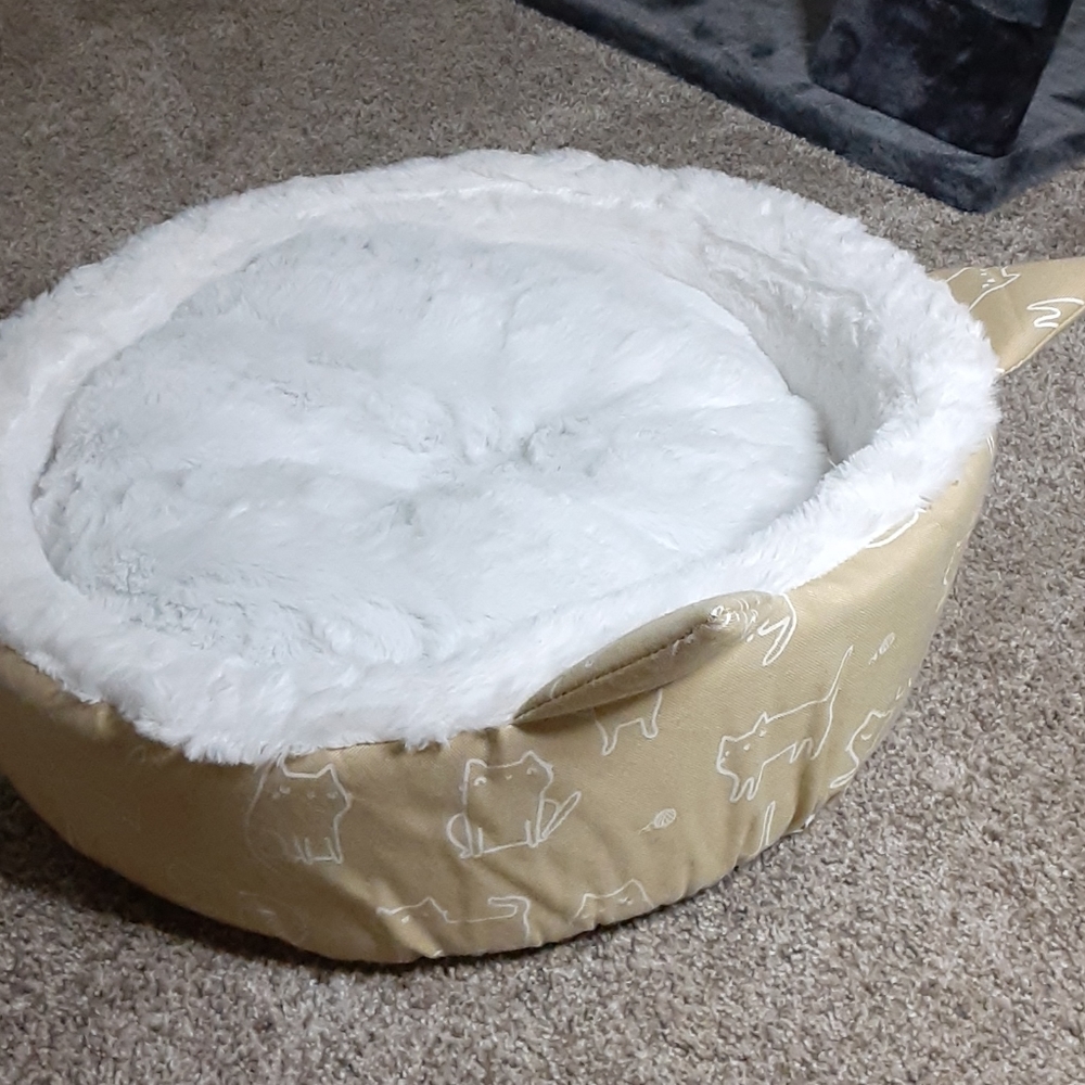 Cat bed